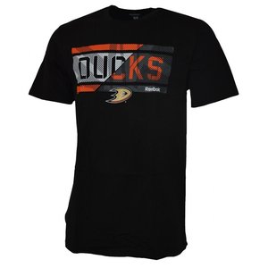 Anaheim Ducks FRZ Stripe