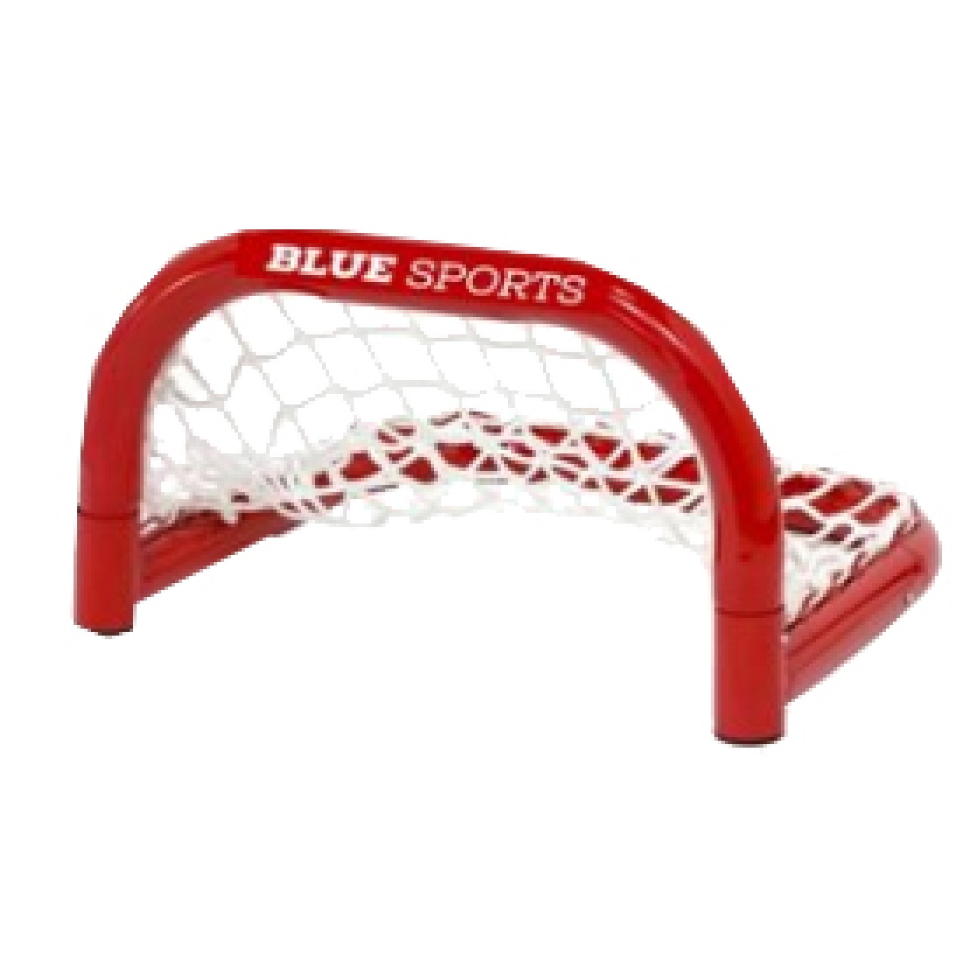 Image of EISHOCKEY-TOR ZollSKILL GOALZoll