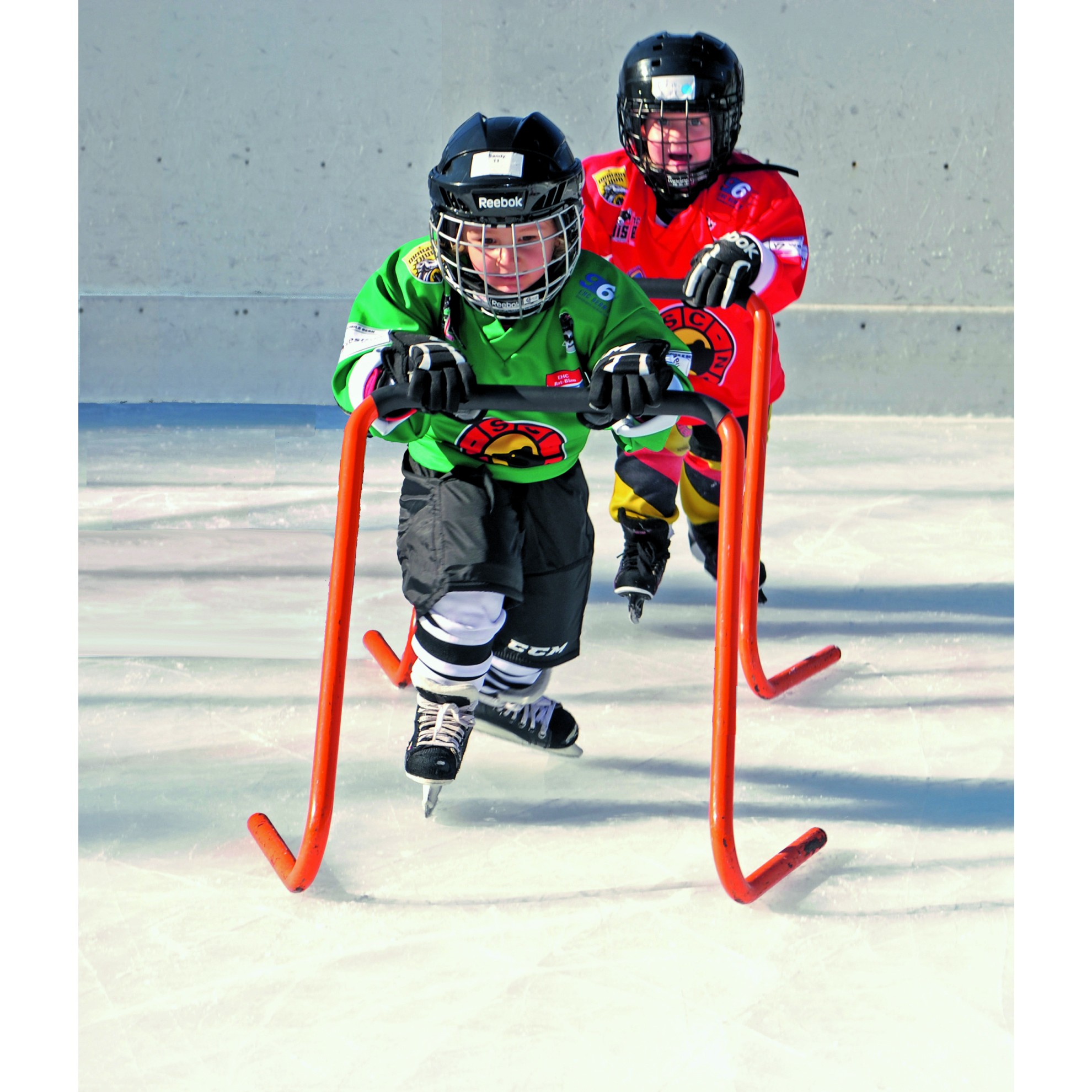 Image of ICE WALKER